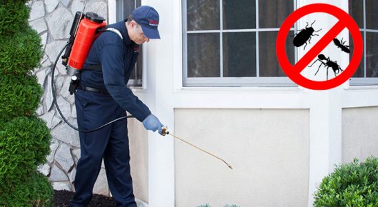 Dörtdivan Fare İlaçlama böcek ilaçlama ve haşere kontrolü — ilaclama-tr.com